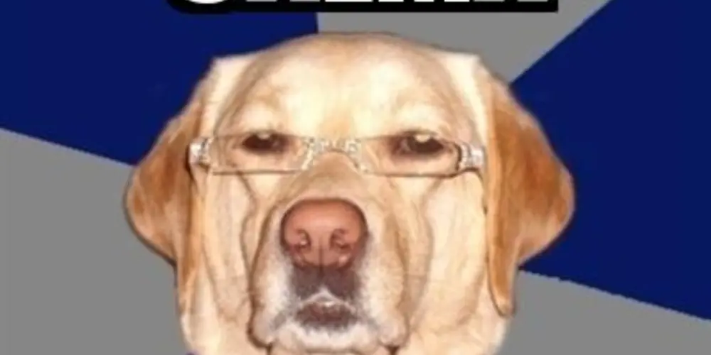 Imagem do grupo de WhatsApp Grupo de amizade