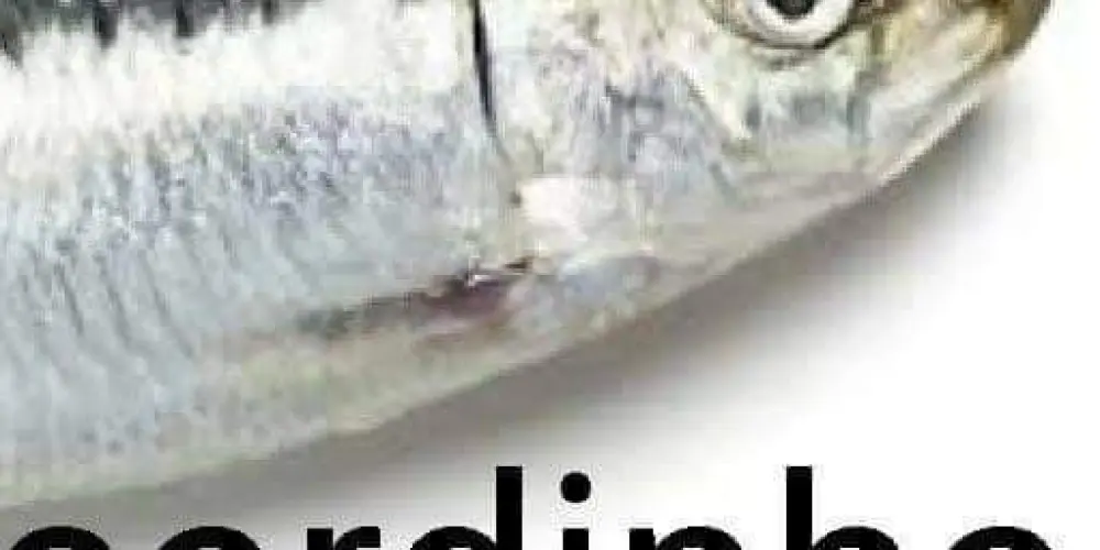 Imagem do grupo de WhatsApp Grupo de amizade