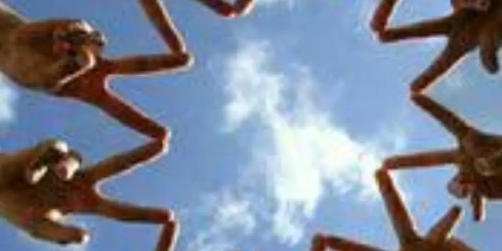 Imagem do grupo de WhatsApp Grupo de amizade ❤️