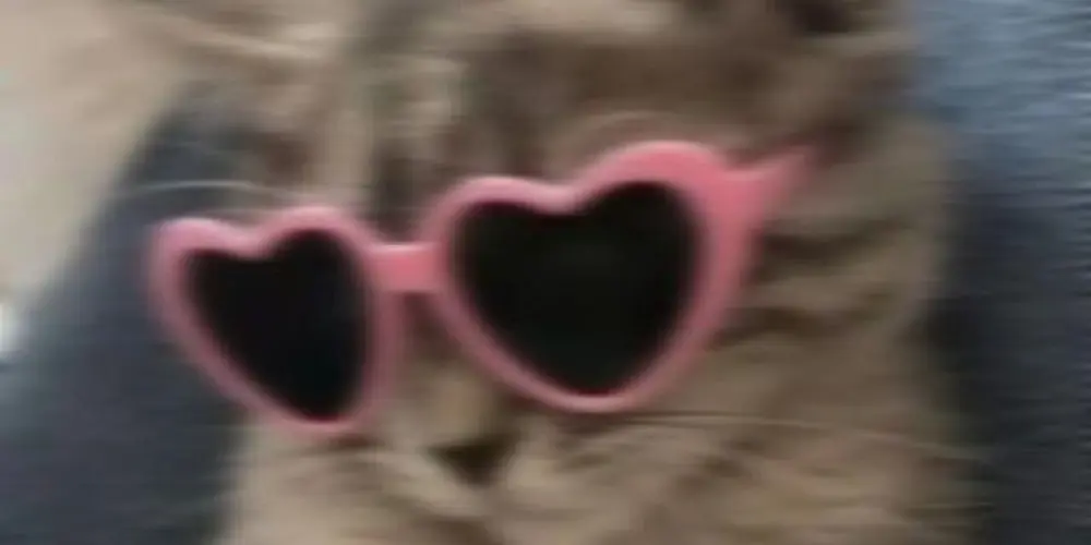 Imagem do grupo de WhatsApp Grupo de amizade 🀄