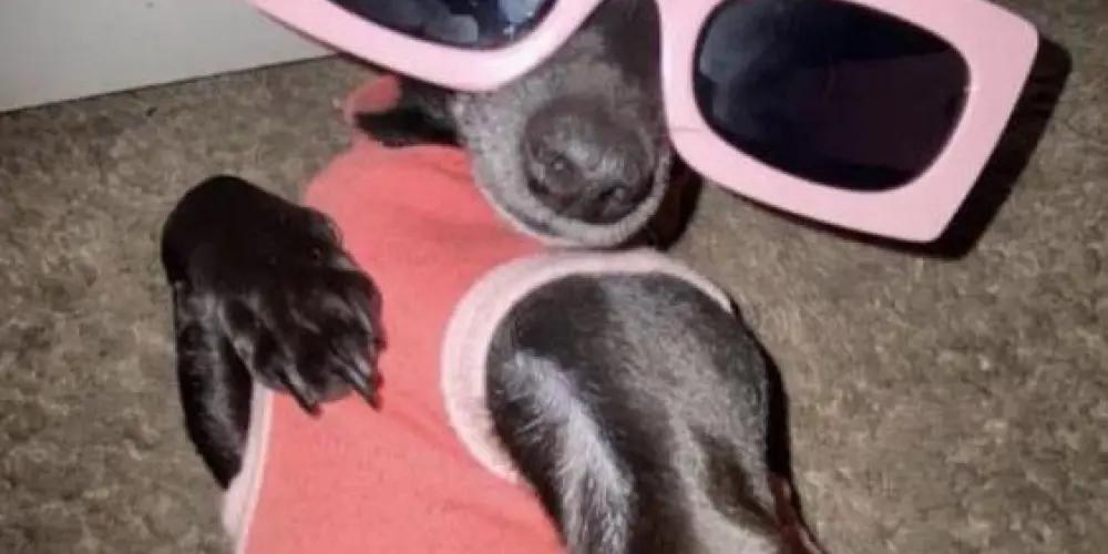 Imagem do grupo de WhatsApp Grupo de amizade ❤️