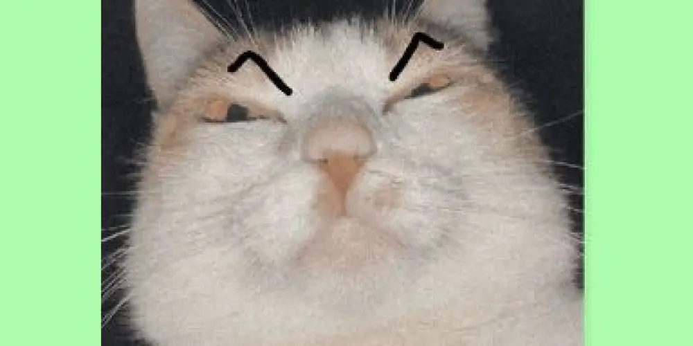 Imagem do grupo de WhatsApp Grupo de Amizade 😎