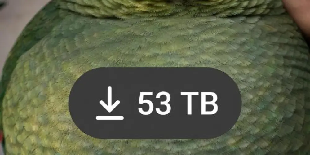 Imagem do grupo de WhatsApp Grupo de Amizade e Memes.