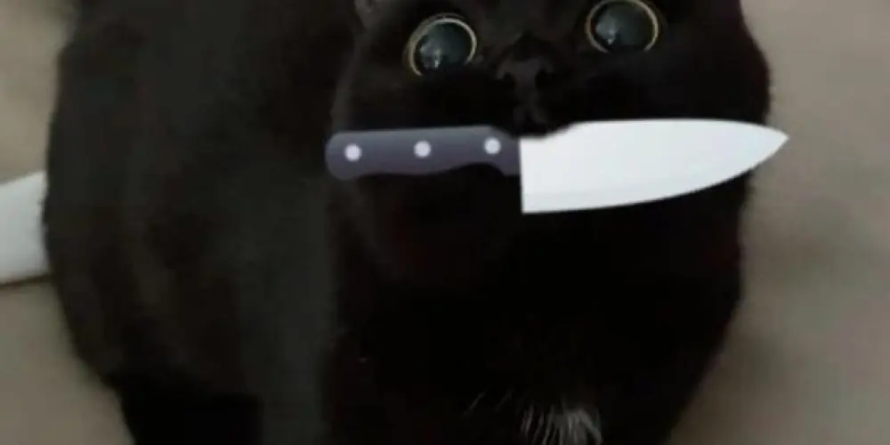 Imagem do grupo de WhatsApp Grupo de amizade e zueiras🪺🏔️🪺