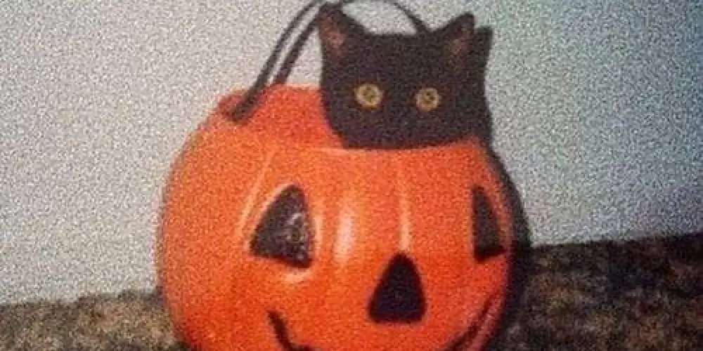 Imagem do grupo de WhatsApp Grupo de amizades