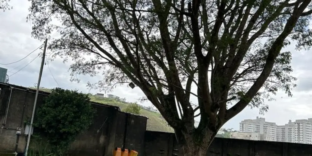 Imagem do grupo de WhatsApp Grupo de amizades