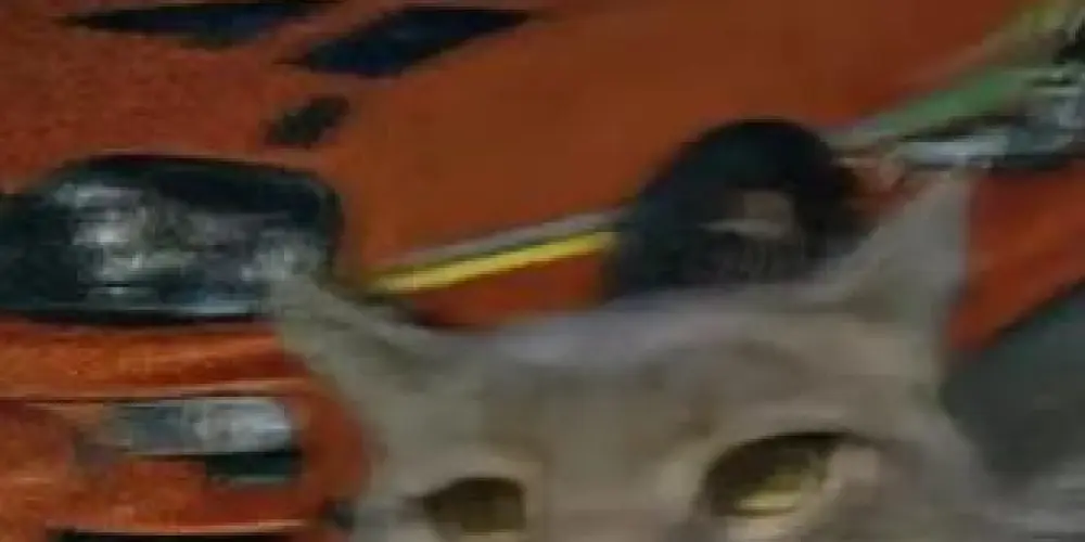 Imagem do grupo de WhatsApp Grupo de amizades