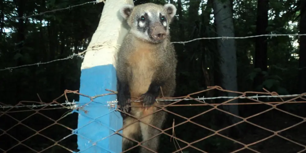 Imagem do grupo de WhatsApp Grupo de amizades ✅🤞🏼