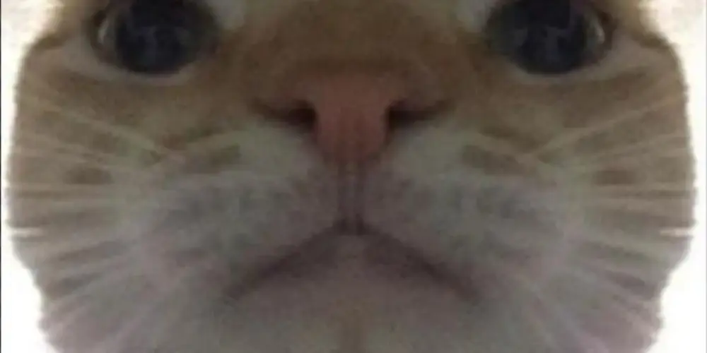 Imagem do grupo de WhatsApp Grupo de amizades e conversa 👍❤️