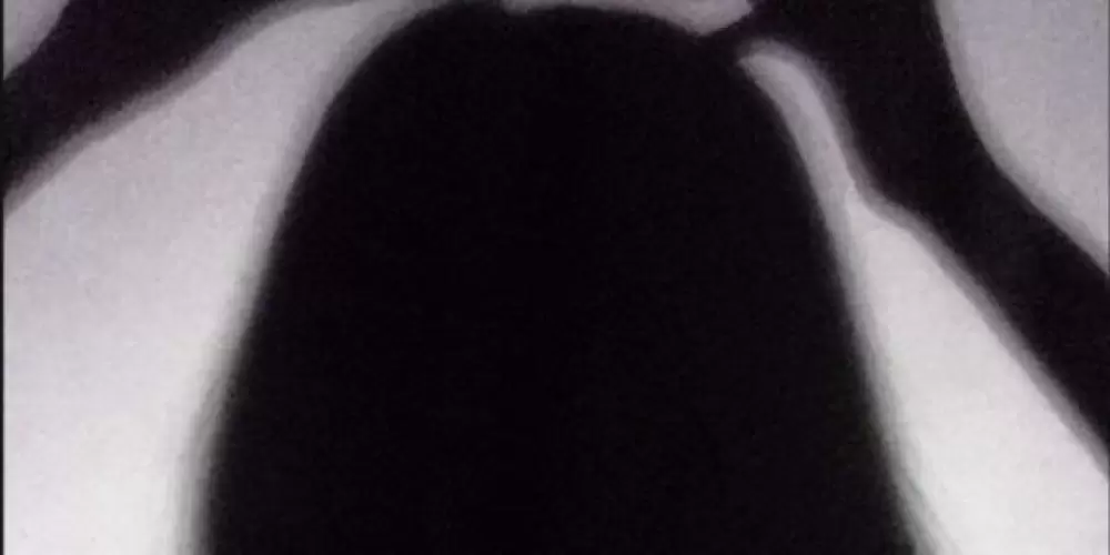 Imagem do grupo de WhatsApp Grupo de amizades e namoros❤️