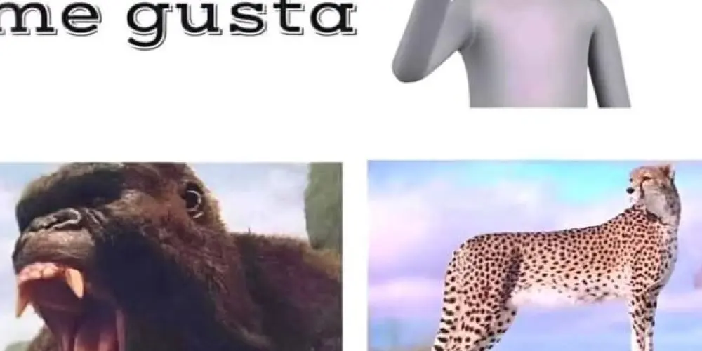 Imagem do grupo de WhatsApp Grupo de amizades RS