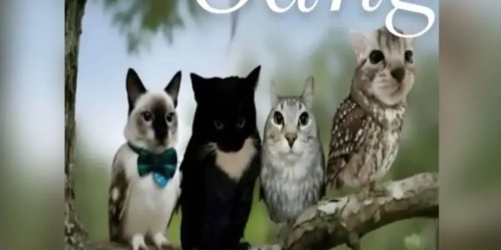 Imagem do grupo de WhatsApp Grupo de assobiadores 🦜
