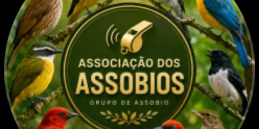 Imagem do grupo de WhatsApp Grupo de assobiadores do Brasil