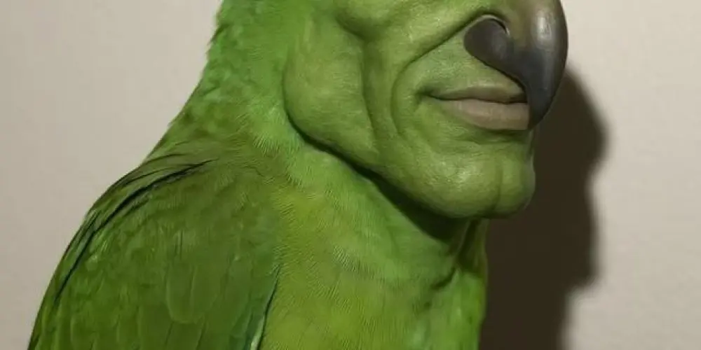 Imagem do grupo de WhatsApp Grupo de Assobiar🐦‍⬛🐦‍⬛🐦‍⬛🐦‍⬛🐦‍⬛🐦‍⬛🐦‍⬛