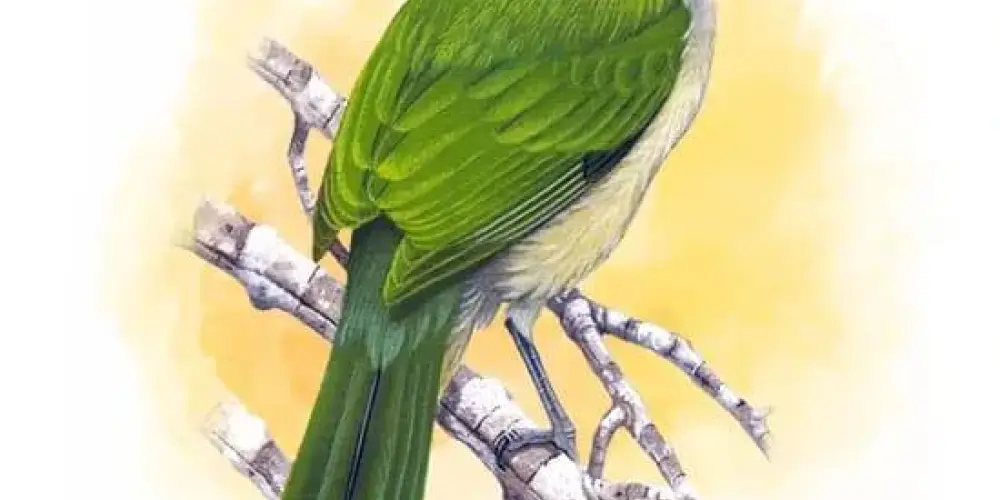 Imagem do grupo de WhatsApp GRUPO DE ASSOBIO