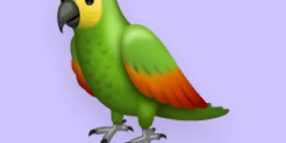 Imagem do grupo de WhatsApp Grupo de assobio