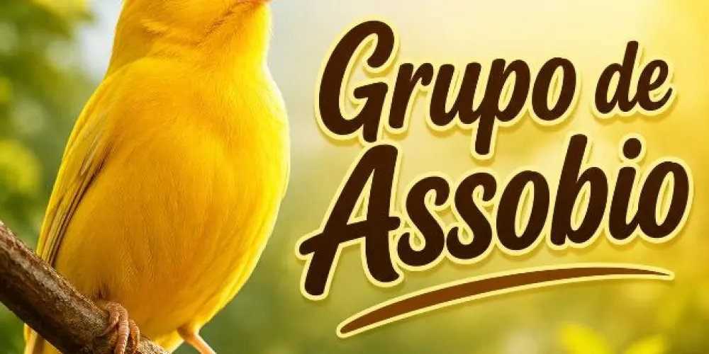 Imagem do grupo de WhatsApp Grupo de Assobio
