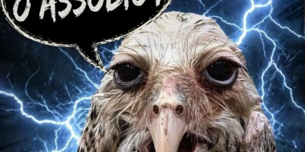 Imagem do grupo de WhatsApp Grupo de assobios Brasil