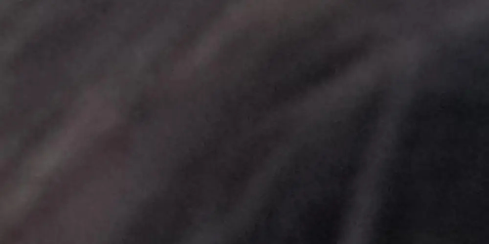 Imagem do grupo de WhatsApp Grupo de assovio