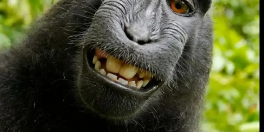 Imagem do grupo de WhatsApp Grupo de conversa