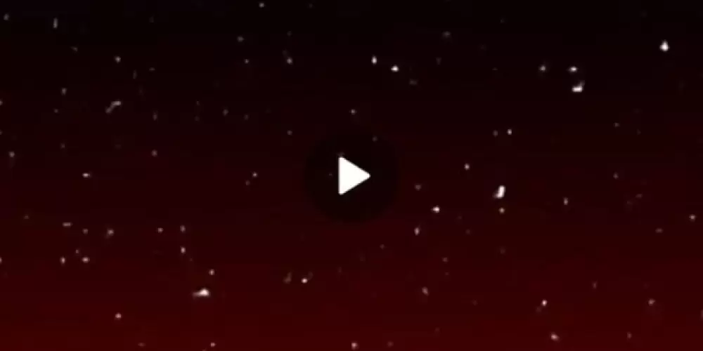 Imagem do grupo de WhatsApp Grupo de conversar