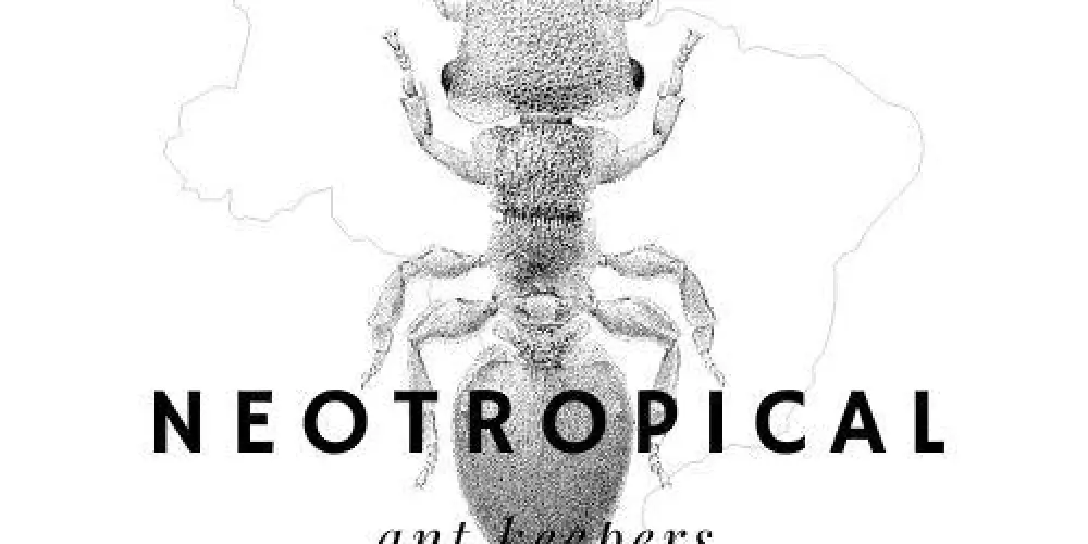 Imagem do grupo de WhatsApp Grupo de criadores de Formigas