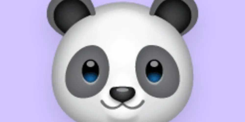 Imagem do grupo de WhatsApp Grupo de divulgação