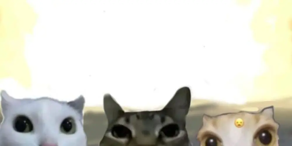 Imagem do grupo de WhatsApp Grupo de figurinhas