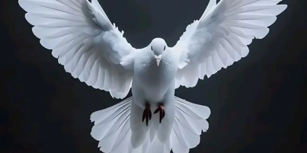 Imagem do grupo de WhatsApp Grupo de intercessão