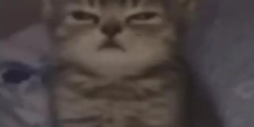 Imagem do grupo de WhatsApp Grupo de jogos