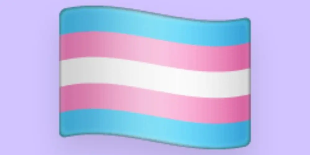 Imagem do grupo de WhatsApp Grupo de mulher trans