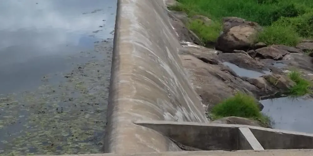 Imagem do grupo de WhatsApp Grupo de namorados