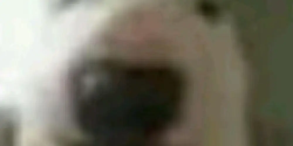 Imagem do grupo de WhatsApp Grupo de namoro de 13 a 18 anos