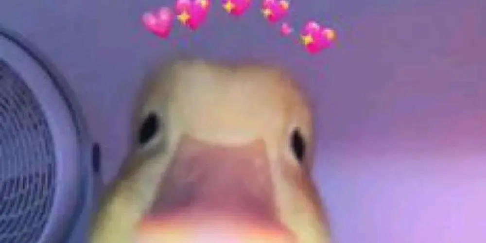 Imagem do grupo de WhatsApp Grupo de namoro ou amizade 😘😊