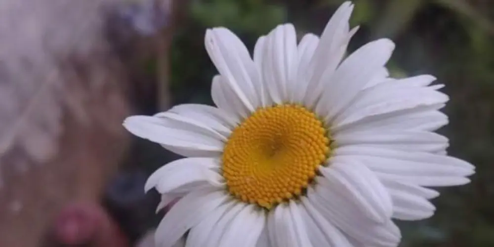 Imagem do grupo de WhatsApp Grupo de novas amizades