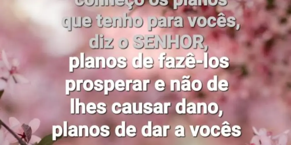 Imagem do grupo de WhatsApp Grupo de oração de mulheres guerreiras🌹👑