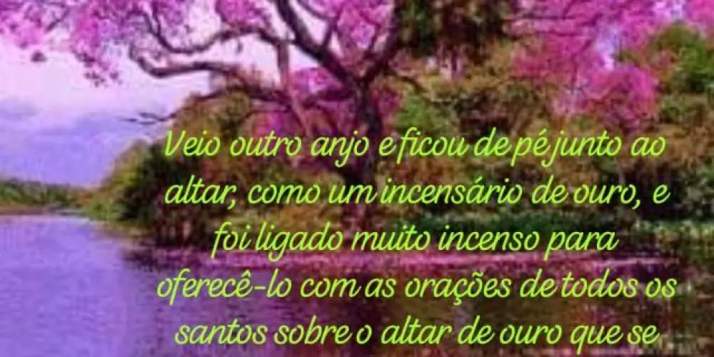 Imagem do grupo de WhatsApp GRUPO DE ORAÇÃO "*SÓ 👑JESUS👑 PODE SALVAR*"🌾🪷