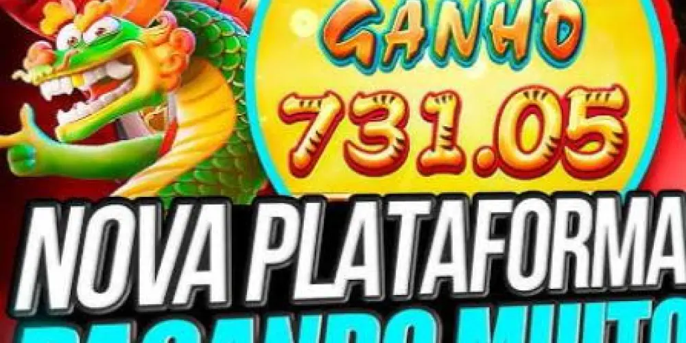 Imagem do grupo de WhatsApp GRUPO DE PLATAFORMAS NOVAS #2