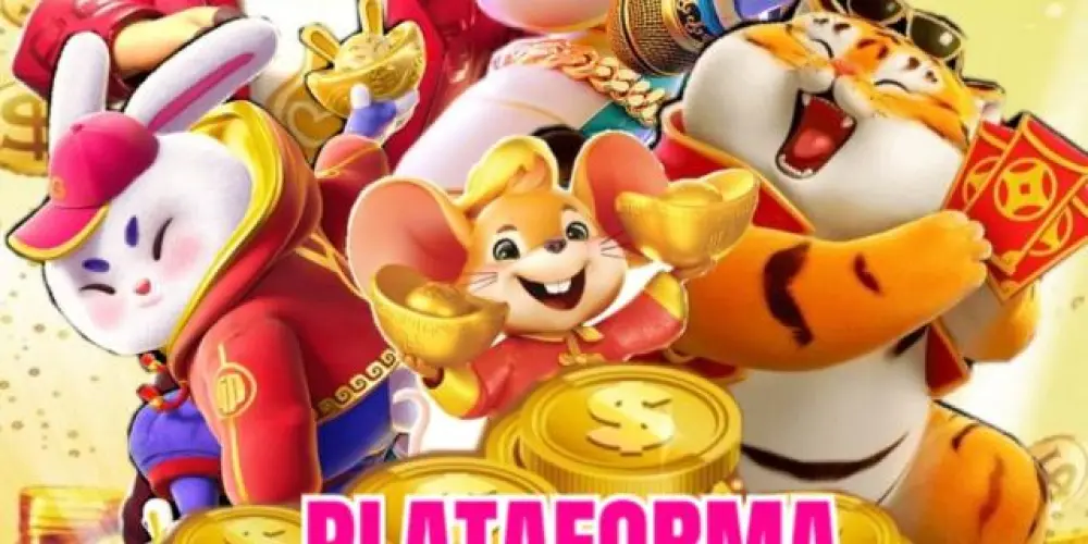 Imagem do grupo de WhatsApp 🔰 grupo de plataformas pagantes 🔰