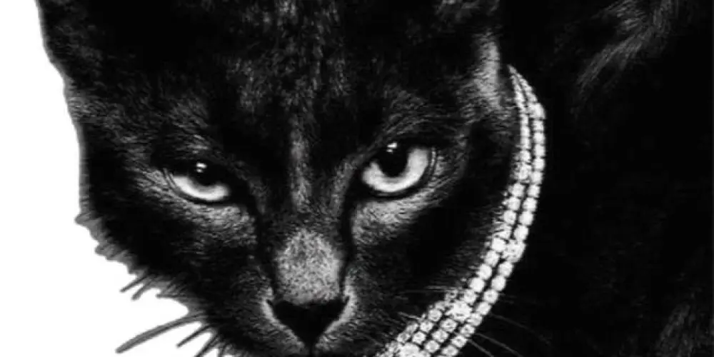 Imagem do grupo de WhatsApp Grupo de promoções e ofertas