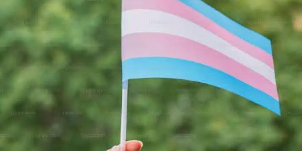 Imagem do grupo de WhatsApp Grupo de relacionamento para mulheres trans