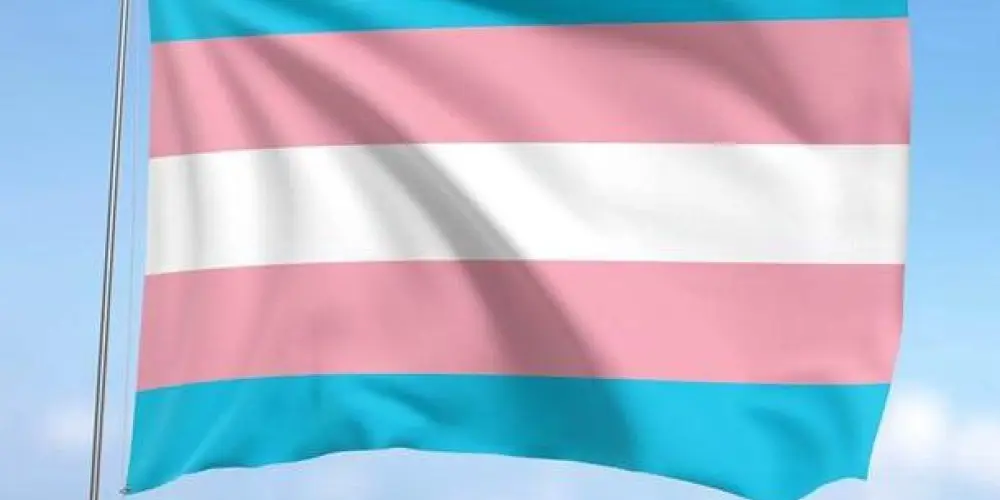 Imagem do grupo de WhatsApp Grupo de relacionamento trans