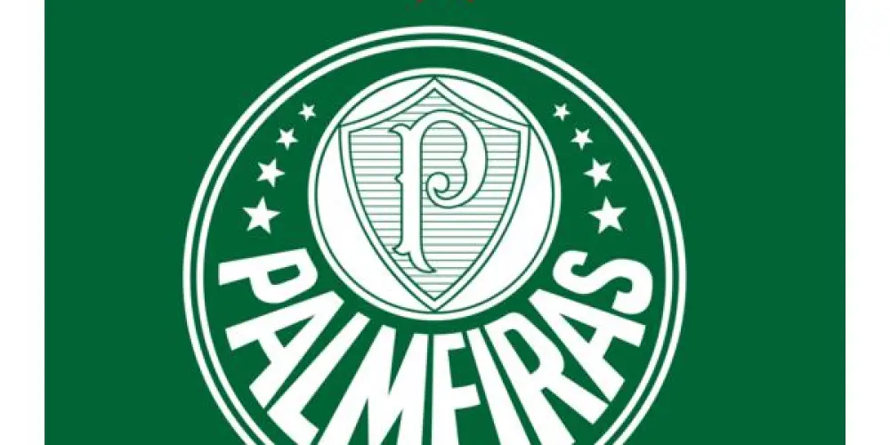 Imagem do grupo de WhatsApp Grupo de torcedores e torcedoras do palmeiras