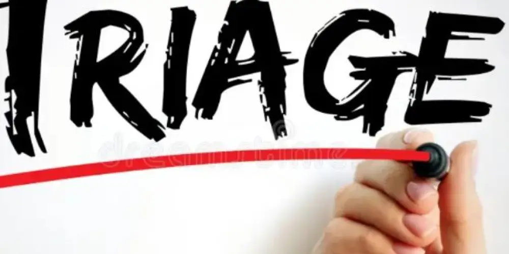 Imagem do grupo de WhatsApp Grupo de triagem