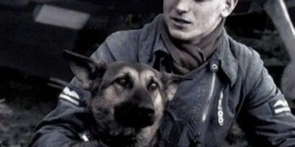 Imagem do grupo de WhatsApp Grupo de war thunder mobile