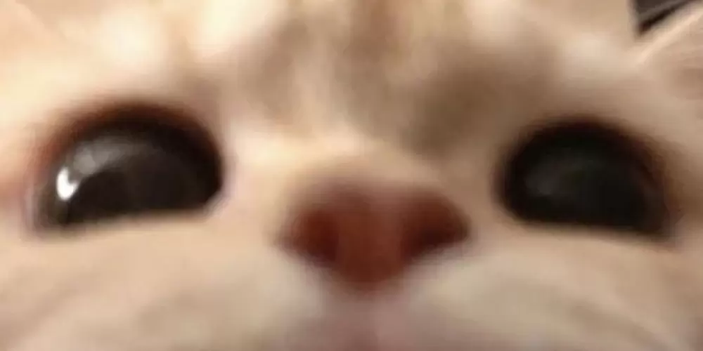 Imagem do grupo de WhatsApp Grupo de WhatsApp amizade zueira