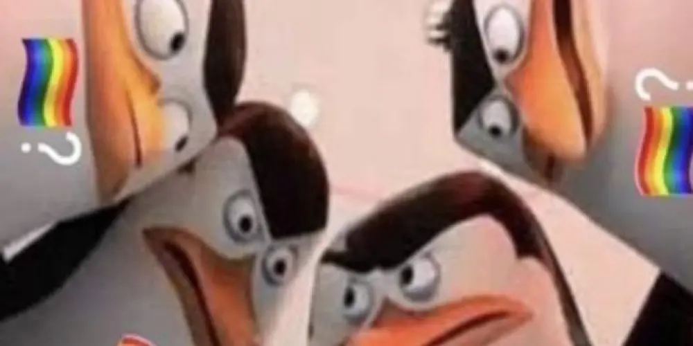 Imagem do grupo de WhatsApp Grupo de zueiras