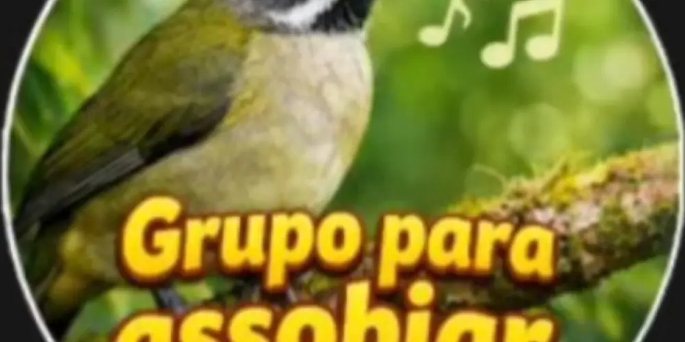 Imagem do grupo de WhatsApp Grupo Do Assobio