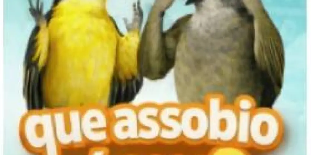 Imagem do grupo de WhatsApp Grupo do assobio canário belga 🐦‍⬛