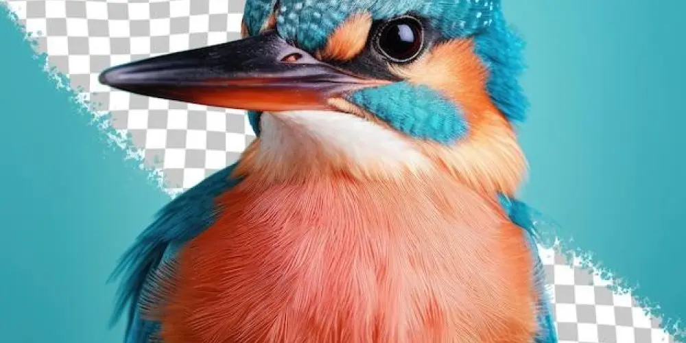 Imagem do grupo de WhatsApp Grupo do assovio 🦅🐦🐦